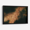 Espigas caídas 01 - Dreamer Studio | Cuadro decorativo de Canvas Lab