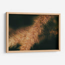 Espigas caídas 01 - Dreamer Studio | Cuadro decorativo de Canvas Lab