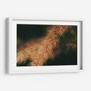 Espigas caídas 01 - Dreamer Studio | Cuadro decorativo de Canvas Lab