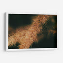 Espigas caídas 01 - Dreamer Studio | Cuadro decorativo de Canvas Lab
