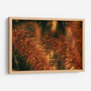 Espigas Escarlatas - Dreamer Studio | Cuadro decorativo de Canvas Lab