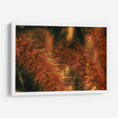 Espigas Escarlatas - Dreamer Studio | Cuadro decorativo de Canvas Lab