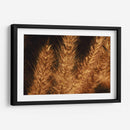 Espigas jovenes - Dreamer Studio | Cuadro decorativo de Canvas Lab