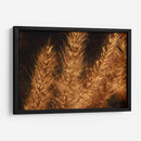 Espigas jovenes - Dreamer Studio | Cuadro decorativo de Canvas Lab