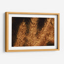 Espigas jovenes - Dreamer Studio | Cuadro decorativo de Canvas Lab
