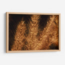 Espigas jovenes - Dreamer Studio | Cuadro decorativo de Canvas Lab