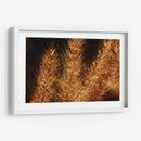 Espigas jovenes - Dreamer Studio | Cuadro decorativo de Canvas Lab