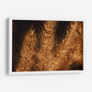 Espigas jovenes - Dreamer Studio | Cuadro decorativo de Canvas Lab