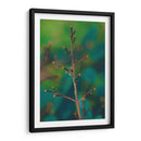 Rama Macro - Dreamer Studio | Cuadro decorativo de Canvas Lab