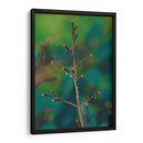 Rama Macro - Dreamer Studio | Cuadro decorativo de Canvas Lab