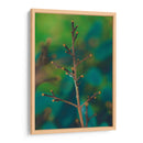 Rama Macro - Dreamer Studio | Cuadro decorativo de Canvas Lab