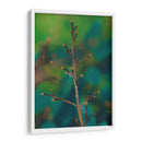 Rama Macro - Dreamer Studio | Cuadro decorativo de Canvas Lab