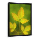 Hojas al final del verano - Dreamer Studio | Cuadro decorativo de Canvas Lab