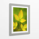 Hojas al final del verano - Dreamer Studio | Cuadro decorativo de Canvas Lab