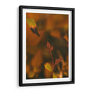 Hoja de otoño Macro 01 - Dreamer Studio | Cuadro decorativo de Canvas Lab