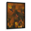 Hoja de otoño Macro 01 - Dreamer Studio | Cuadro decorativo de Canvas Lab