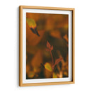 Hoja de otoño Macro 01 - Dreamer Studio | Cuadro decorativo de Canvas Lab