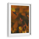 Hoja de otoño Macro 01 - Dreamer Studio | Cuadro decorativo de Canvas Lab