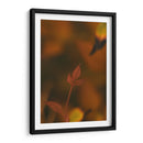 Hoja de otoño Macro 02 - Dreamer Studio | Cuadro decorativo de Canvas Lab