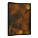 Hoja de otoño Macro 02 - Dreamer Studio | Cuadro decorativo de Canvas Lab