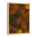 Hoja de otoño Macro 02 - Dreamer Studio | Cuadro decorativo de Canvas Lab