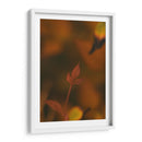 Hoja de otoño Macro 02 - Dreamer Studio | Cuadro decorativo de Canvas Lab