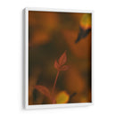 Hoja de otoño Macro 02 - Dreamer Studio | Cuadro decorativo de Canvas Lab