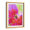 Insecto entre flores - Dreamer Studio | Cuadro decorativo de Canvas Lab