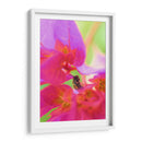 Insecto entre flores - Dreamer Studio | Cuadro decorativo de Canvas Lab