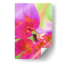 Insecto entre flores - Dreamer Studio | Cuadro decorativo de Canvas Lab