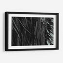 Raíces de Árbol - Luis Velasco | Cuadro decorativo de Canvas Lab