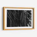 Raíces de Árbol - Luis Velasco | Cuadro decorativo de Canvas Lab