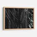 Raíces de Árbol - Luis Velasco | Cuadro decorativo de Canvas Lab