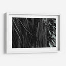 Raíces de Árbol - Luis Velasco | Cuadro decorativo de Canvas Lab