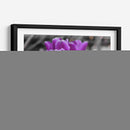 Tulipanes Violeta - Carlos Franken | Cuadro decorativo de Canvas Lab