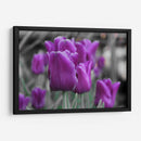 Tulipanes Violeta - Carlos Franken | Cuadro decorativo de Canvas Lab