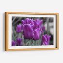 Tulipanes Violeta - Carlos Franken | Cuadro decorativo de Canvas Lab