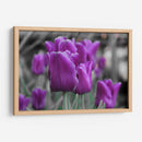Tulipanes Violeta - Carlos Franken | Cuadro decorativo de Canvas Lab