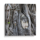 Cabeza de Buda en la Higera - Carlos Franken | Cuadro decorativo de Canvas Lab