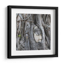 Cabeza de Buda en la Higera - Carlos Franken | Cuadro decorativo de Canvas Lab