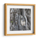 Cabeza de Buda en la Higera - Carlos Franken | Cuadro decorativo de Canvas Lab