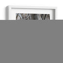 Cabeza de Buda en la Higera - Carlos Franken | Cuadro decorativo de Canvas Lab