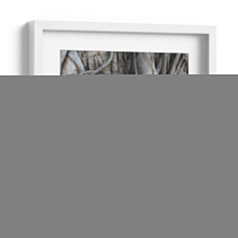 Cabeza de Buda en la Higera - Carlos Franken | Cuadro decorativo de Canvas Lab