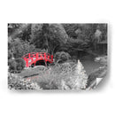 Puente Rojo en el Jardín Japones - Carlos Franken | Cuadro decorativo de Canvas Lab