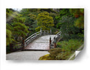 Puente Japonés - Luis Velasco | Cuadro decorativo de Canvas Lab