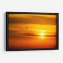 Vuelo al atardecer - Guillermo Aparicio | Cuadro decorativo de Canvas Lab