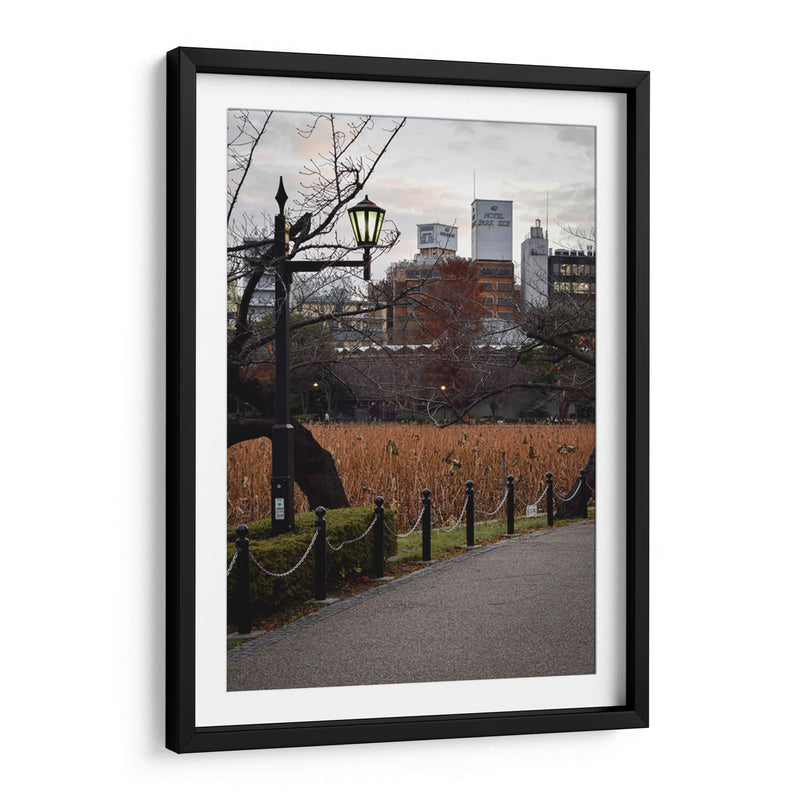 Parque en Otoño, Tokio, Japón - Luis Velasco | Cuadro decorativo de Canvas Lab