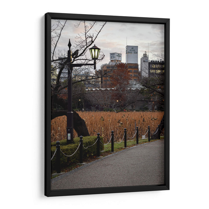 Parque en Otoño, Tokio, Japón - Luis Velasco | Cuadro decorativo de Canvas Lab