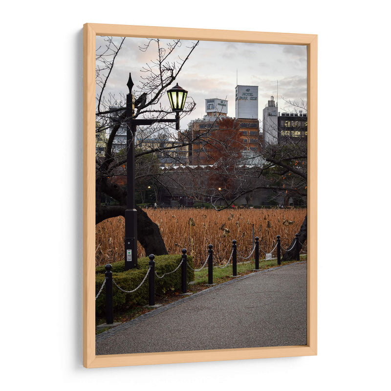 Parque en Otoño, Tokio, Japón - Luis Velasco | Cuadro decorativo de Canvas Lab
