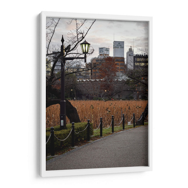 Parque en Otoño, Tokio, Japón - Luis Velasco | Cuadro decorativo de Canvas Lab